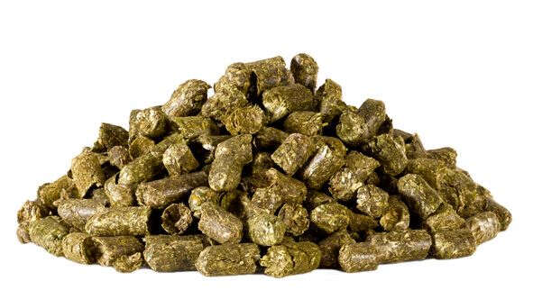 Hasfit Aufzuchtfutter XL 25 kg